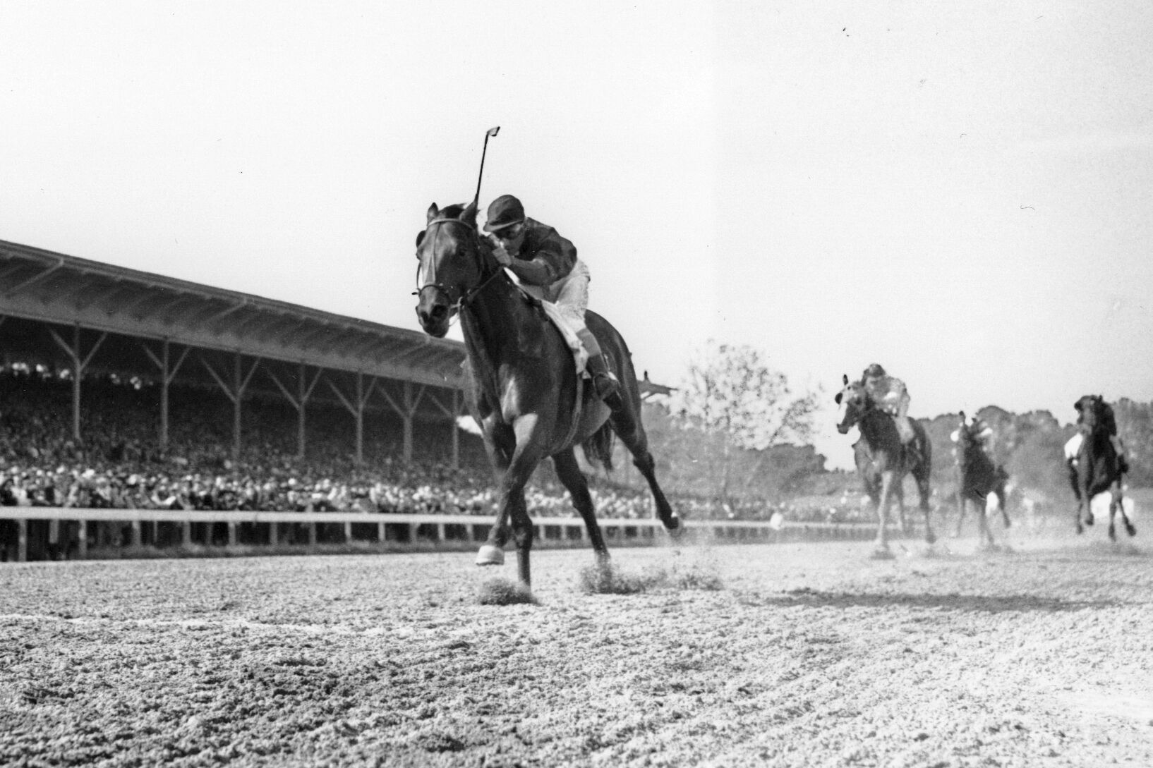 1948: Citation, ridden by Eddie Arcaro, wins Belmont Stakes and Triple Crown